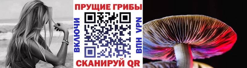 хочу   Нижний Ломов  Псилоцибиновые грибы ЛСД 